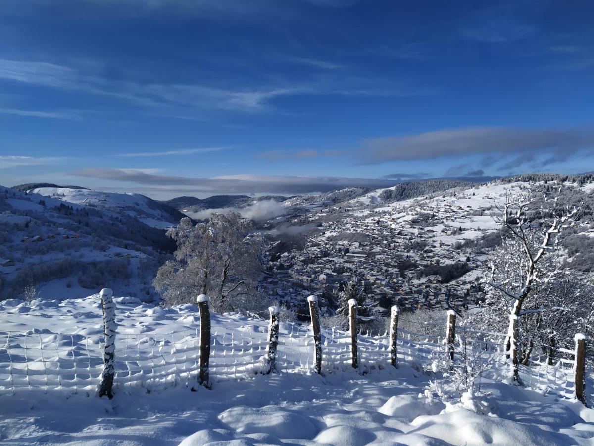Gites De Moyenmont Ла-Бресс Экстерьер фото