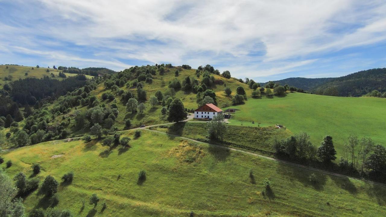 Gites De Moyenmont Ла-Бресс Экстерьер фото