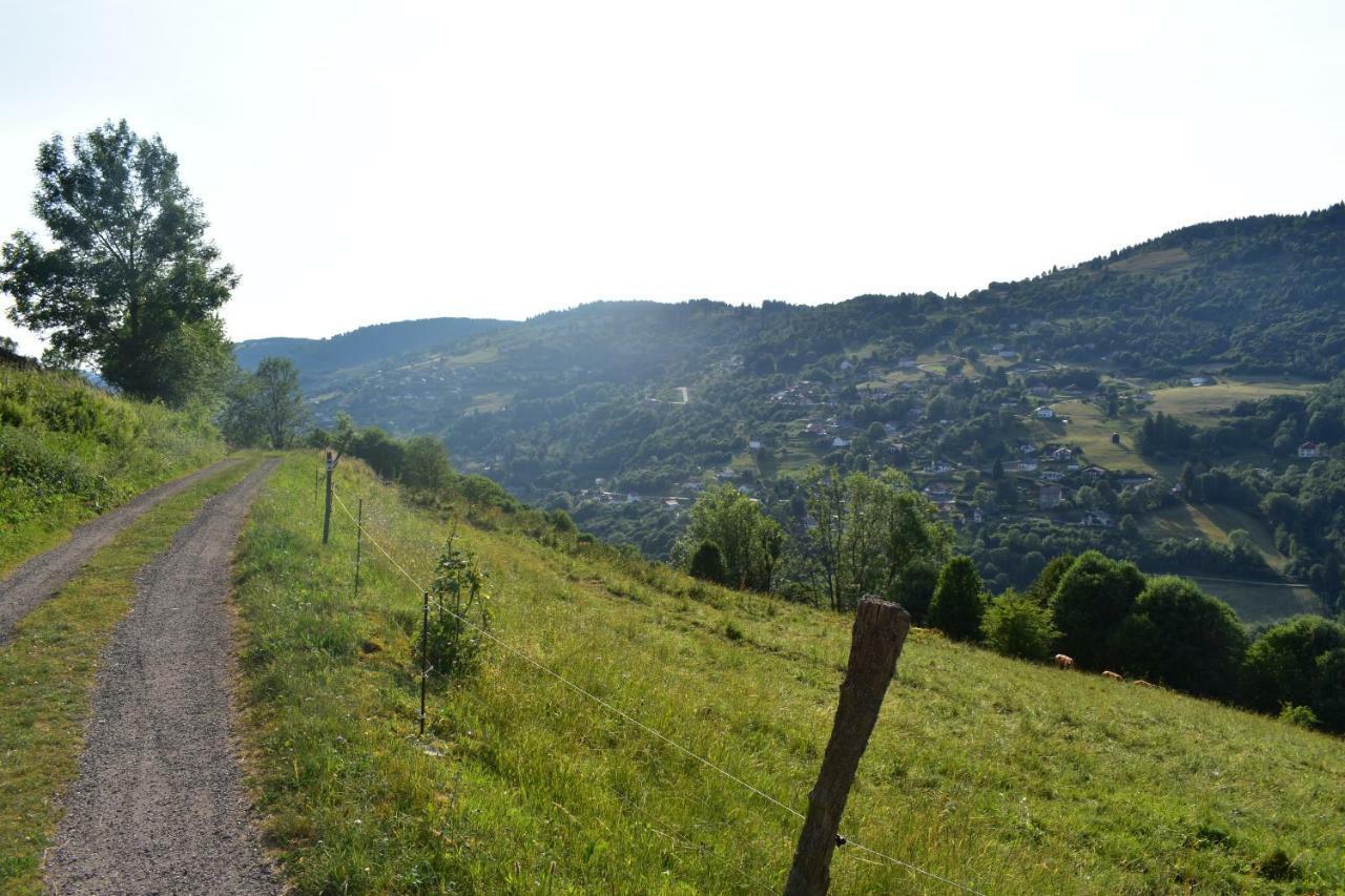 Gites De Moyenmont Ла-Бресс Экстерьер фото